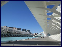 City of Arts and Sciences 051 - outside - Príncipe Felipe Science Museum